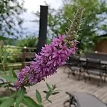 Apartamento Bernhardsberg *