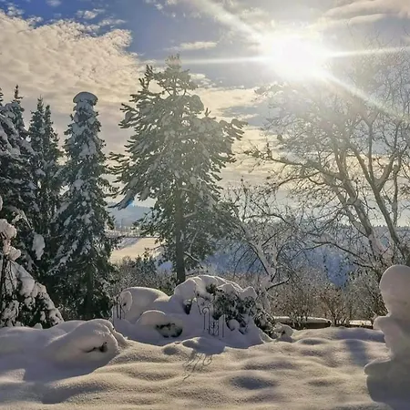 Bernhardsberg Waldkirchen