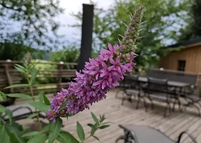 Apartment Bernhardsberg *