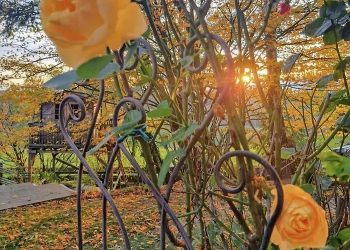 Apartment Bernhardsberg *