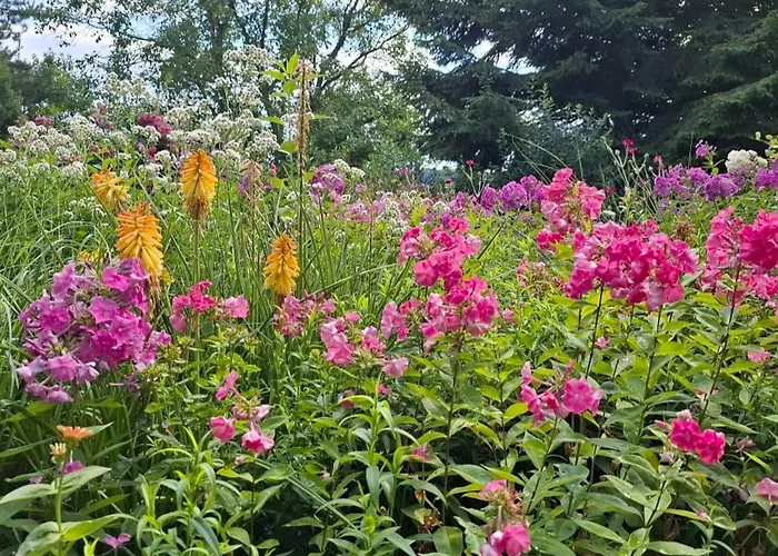 Bernhardsberg * Waldkirchen
