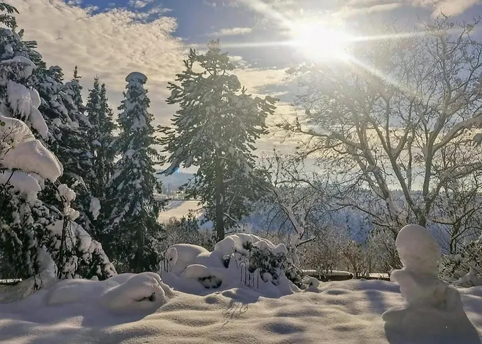 Bernhardsberg * Waldkirchen